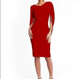 BETSY & ADAM Drape Back Red Dress BNWT Size 4